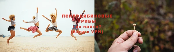 прущие крисы Абинск