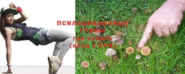 шишки Абдулино